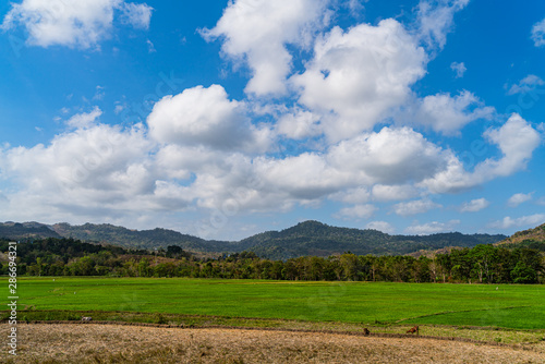 Sumba Island 12