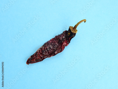 Group Hot Chipotle chilies (dried jalapeño, Morita Variety), isolated on a light blue background photo