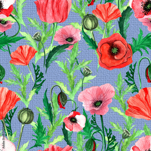 Watercolour poppies flowers seamless pattern.wild flowers meadow grass leaves and branches floral background.