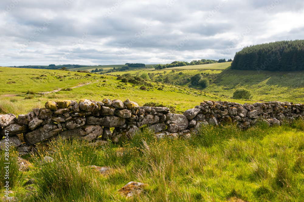 Old stone wall and beautiful rugged landscape of Dartmoor National Park, Devon, England