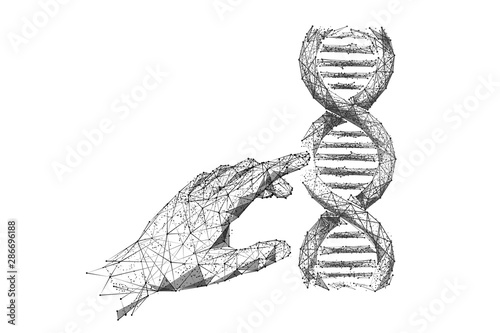 Genetic analysis and research low poly wireframe illustration. Polygonal DNA chromosome analyzing mesh art. 3D scientist hand touching double helix molecule model. Molecular biology science