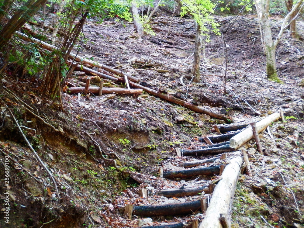 Fototapeta premium 登山道