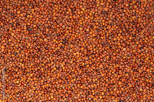 Red quinoa grains. Seeds of red quinoa - Chenopodium quinoa background texture