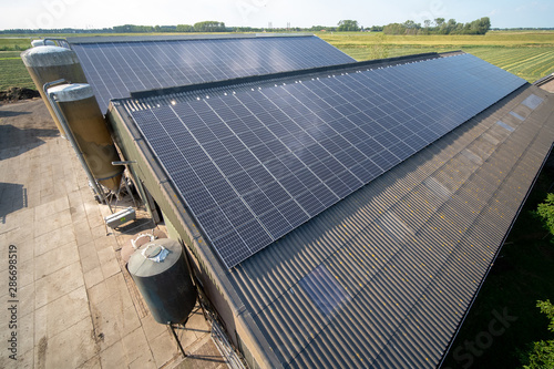 Modern farm with solar panels on the roof of a cowshed