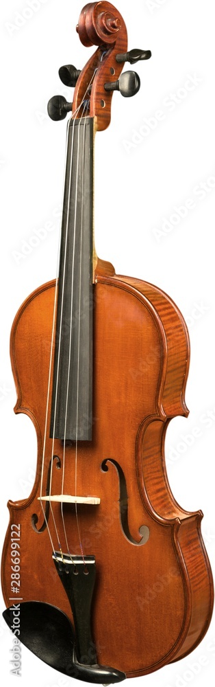 Retro musical single violin