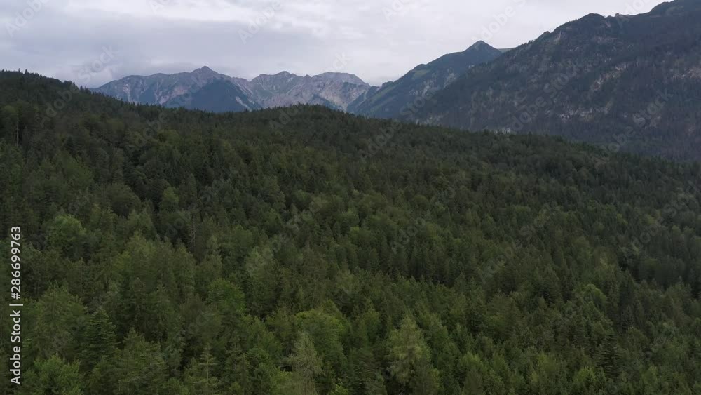 POV from the landing with the drone between the trees in a forest in front of the scenery of the Bavarian Alps POV from the landing with the drone between the trees in a forest in front of the scenery of the Bavarian Alps
