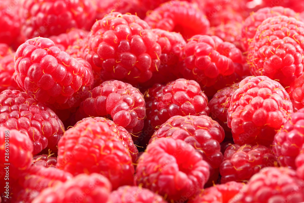 Raspberries red in bulk close-up many of berries background, bokeh effect. Raspberries red in bulk close-up many of berries background, bokeh effect.