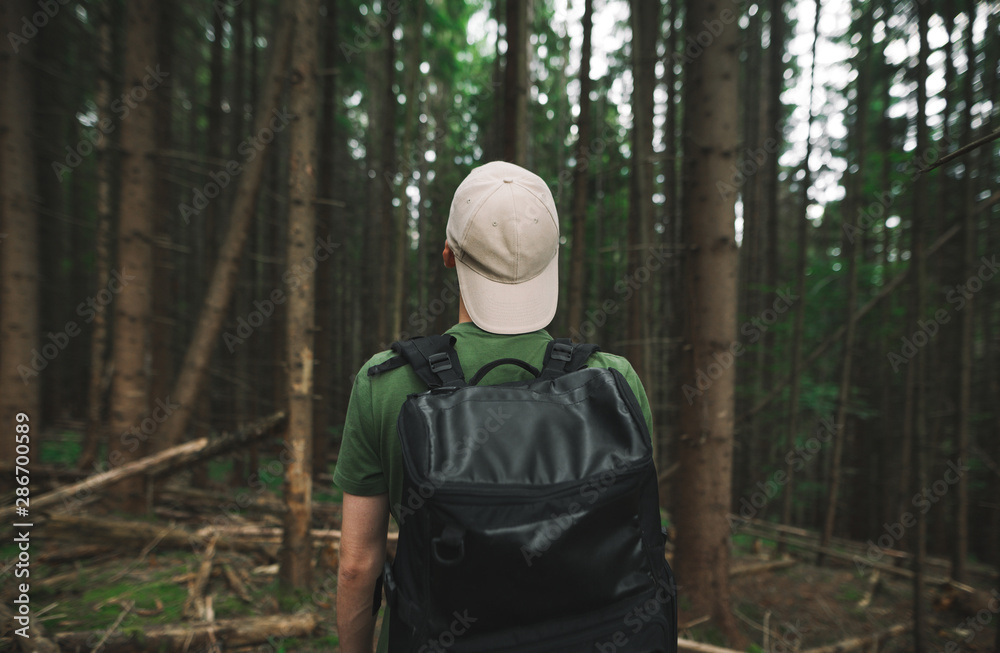 Back view on a male hiker with a backpack in the cap standing in the mountain coniferous forest looking ahead. Tourist guy in green T-shirt standing among the fir trees on the woodland background.