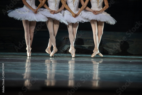 Fototapeta Naklejka Na Ścianę i Meble -  Swan Lake ballet. Closeup of ballerinas dancing
