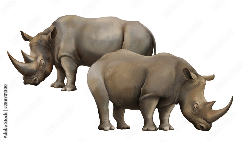 Obraz premium cartoon scene with rhinoceros safari animal illustration for children