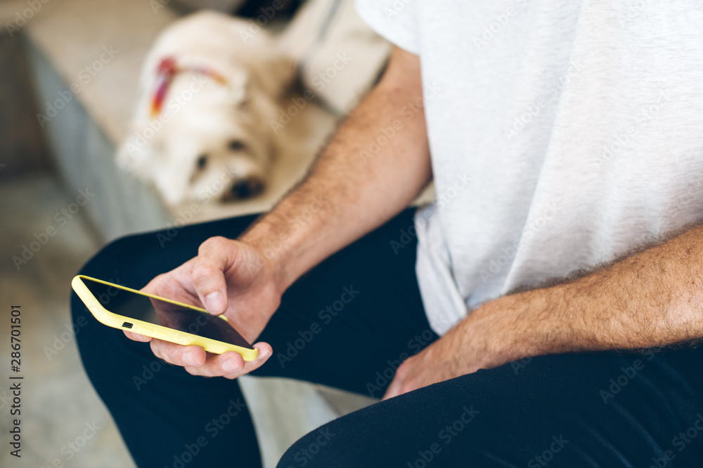 boy checking messages in a smartphone with his terrier dog
