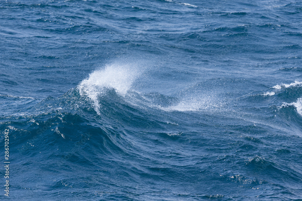 Waves of stormy cold sea on the south of Iceland Waves of stormy cold sea on the south of Iceland