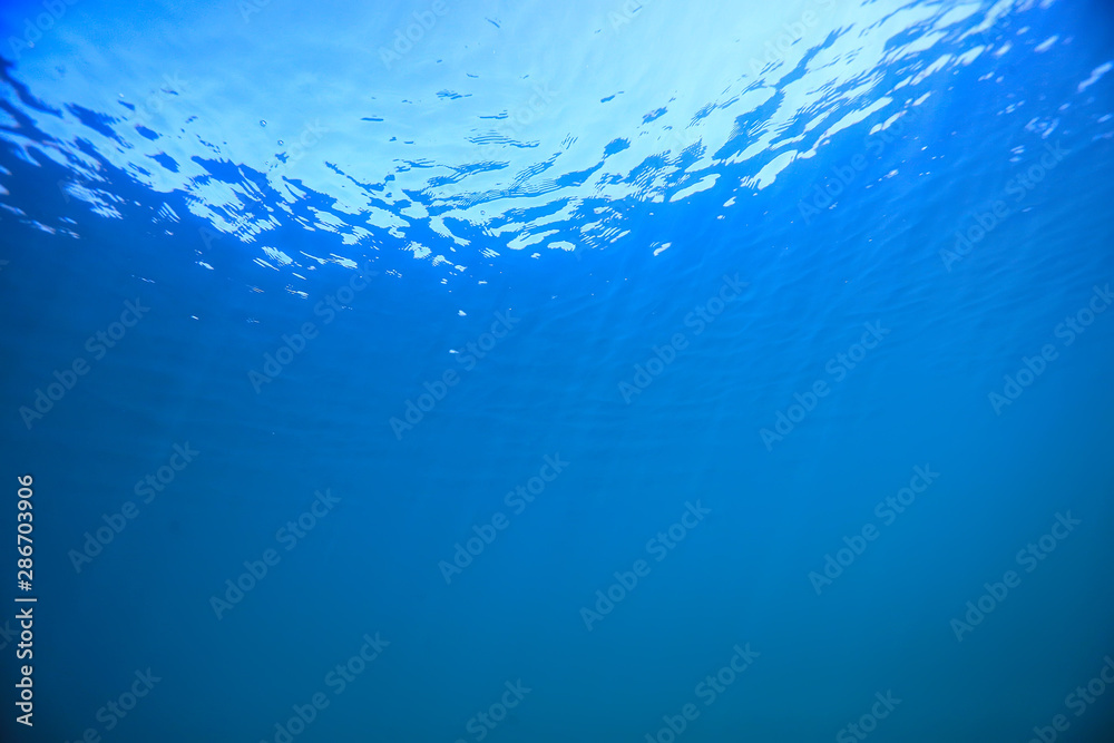 Obraz premium ocean water blue background underwater rays sun / abstract blue background nature water