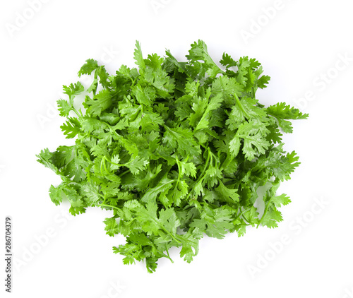 coriander leaf isolated on white background. top view