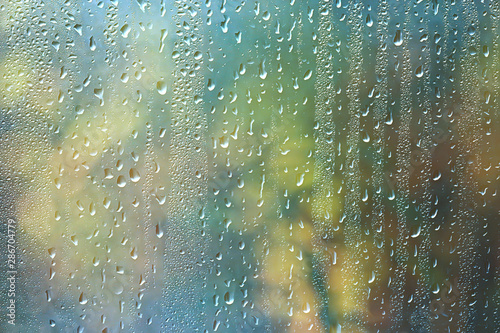 spring day in the park / view of the spring landscape in the park through the window, raindrops on the glass