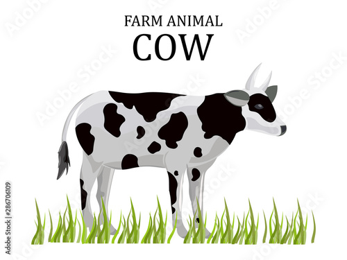 Cow vector flat style. Farm animal icon templates