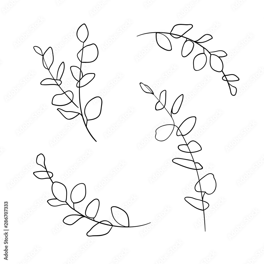custom made wallpaper toronto digitalEucalyptus set illustration