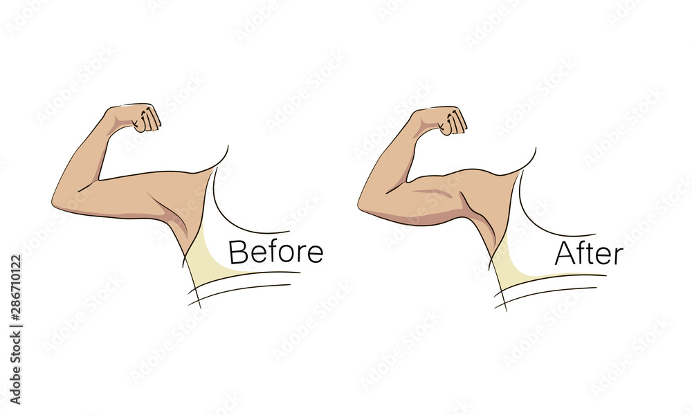 Female biceps and triceps before and after sport. Arms showing
