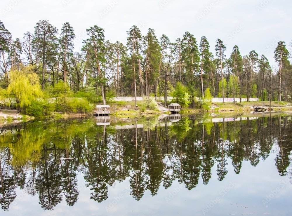 The lake reflects forest trees
