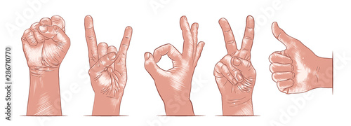 Vector engraved style hand gestures collection for posters, decoration, web, emblem and print. Hand drawn sketches of in color isolated on white background. Detailed vintage woodcut style drawing.