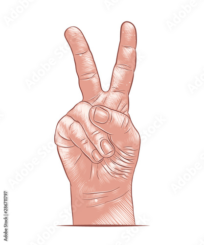 Vector engraved style illustration for posters, decoration, logo and print. Hand drawn sketch of victory hand in colorful isolated on white background. Detailed vintage woodcut style drawing.