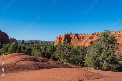 Kodachrome Basin State Park landscape of red stone formations and trees