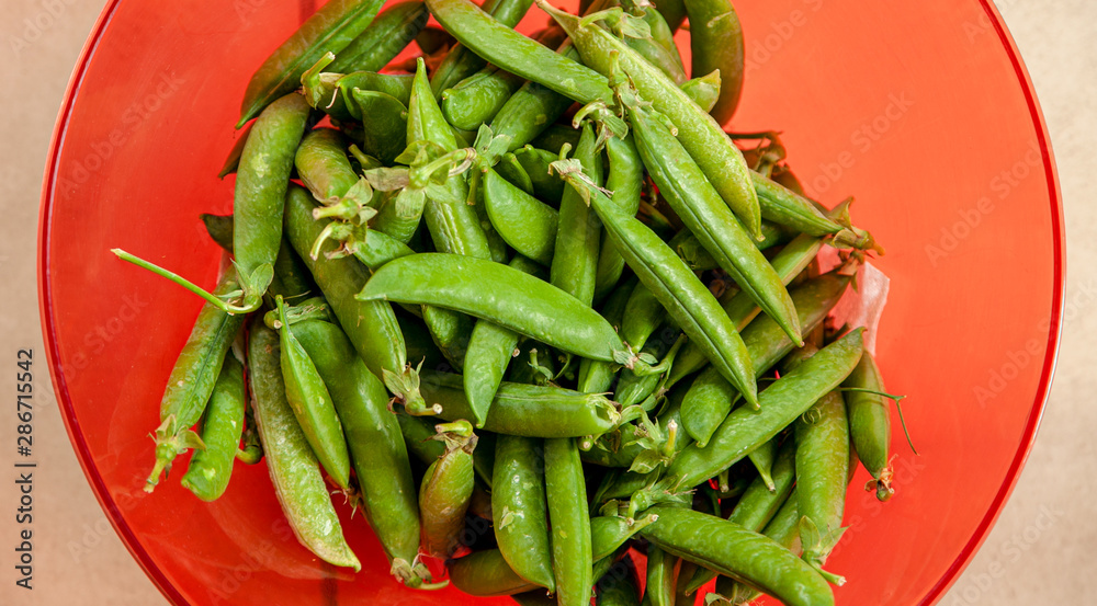 Peas in their pods on a red plate Peas in their pods on a red plate