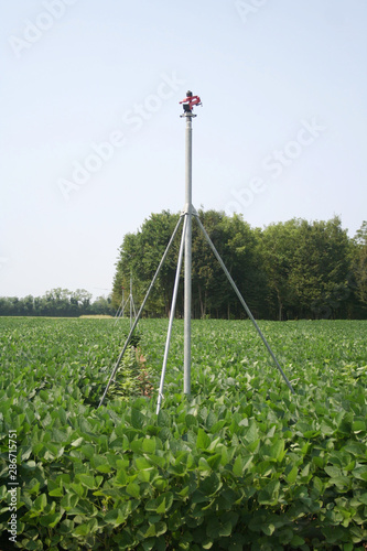 Agricultural water irrigation system on a green soy field on summer in northern Italy