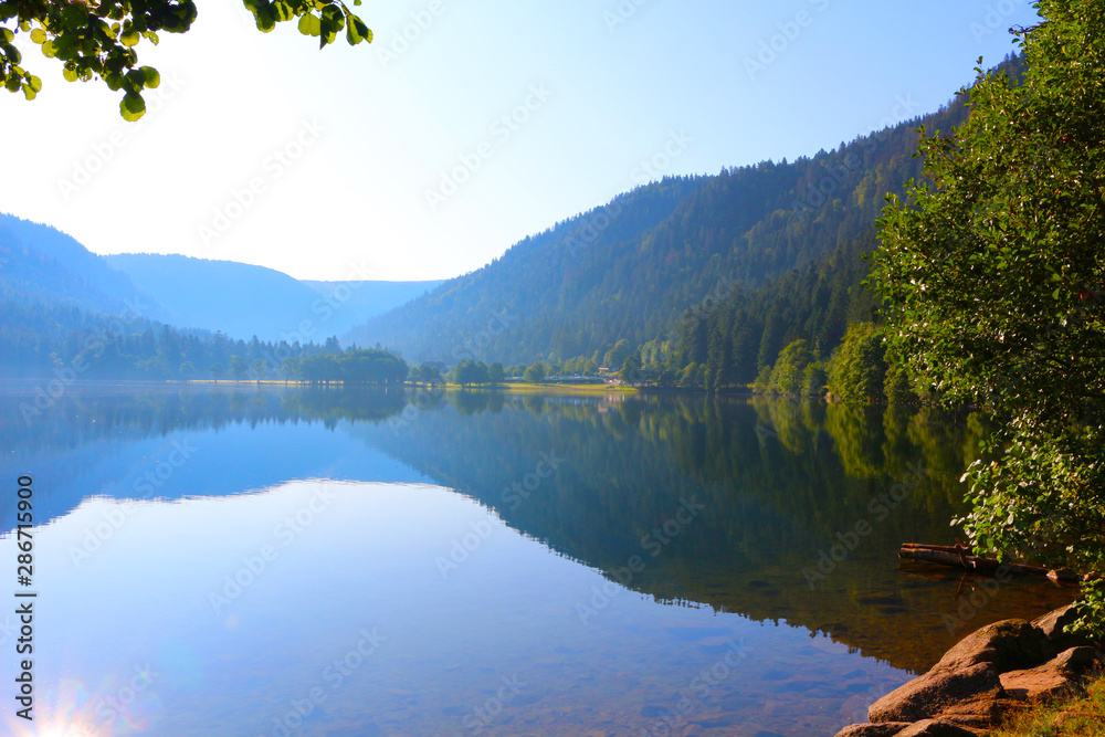 Lake in the Vosges mountains in the morning sun (Lac de Longemer, France)