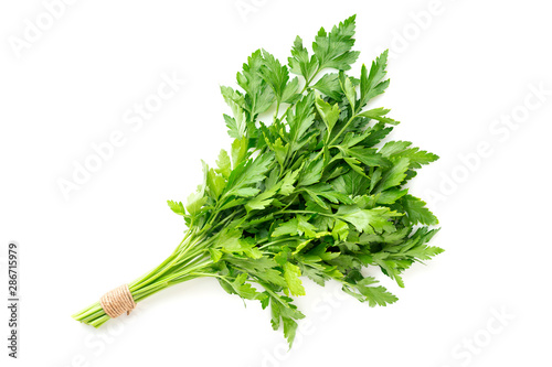 bunch of fresh parsley isolated on white background photo