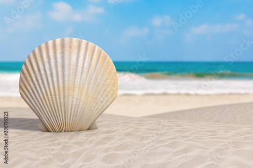 Summer Vacation Concept. Beauty Scallop Sea or Ocean Shell Seashell on an Ocean Deserted Coast. 3d Rendering
