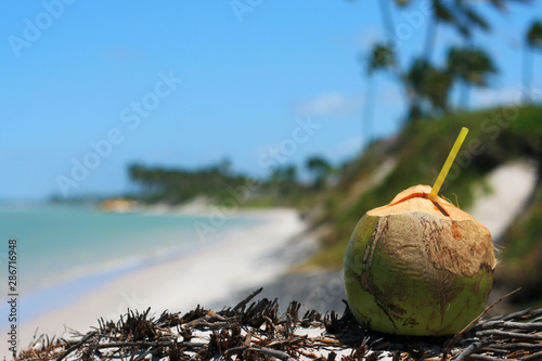 Verão, água de coco e praia! photo