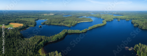 Beautiful wide panorama of fir forest and huge lake on a calm summer morning.
