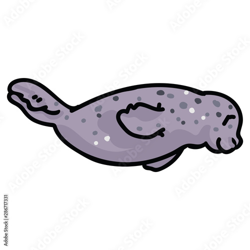 Cute hand drawn sea lion vector. Ocean wildlife clipart. 
