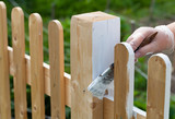 Woman paints a new wooden fence in the summer garden. Shallow depth of field. Selective focus