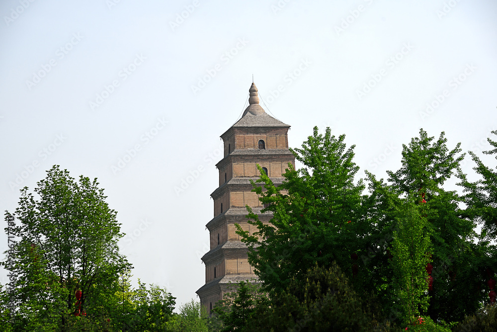 Giant  wild goose pagoda
