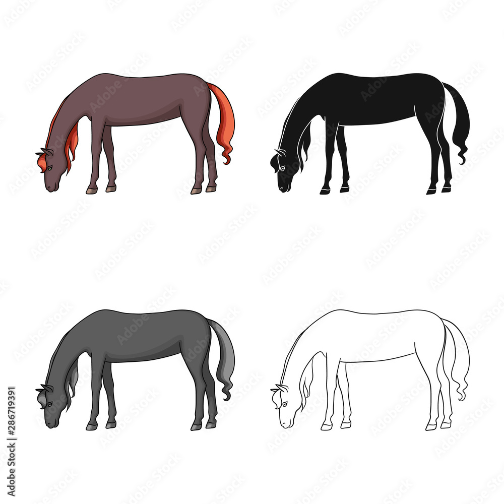 Fototapeta premium Vector illustration of horse and brown sign. Collection of horse and stand stock symbol for web.