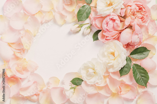 rose flowers and petals on white  background © Maya Kruchancova