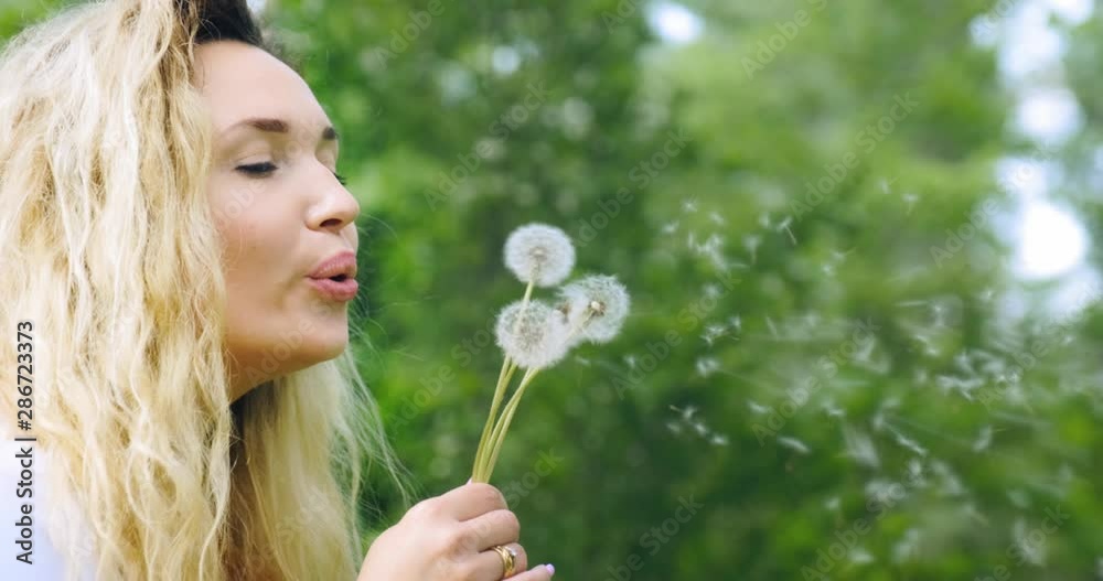 Adult woman blowing on the dandelions on the nature. Happy adult girl blows dandelions. Happiness concept. Outdoors portrait of a blonde woman with long curly hair in the park. Smiling female face. Adult woman blowing on the dandelions on the nature. Happy adult girl blows dandelions. Happiness concept. Outdoors portrait of a blonde woman with long curly hair in the park. Smiling female face.