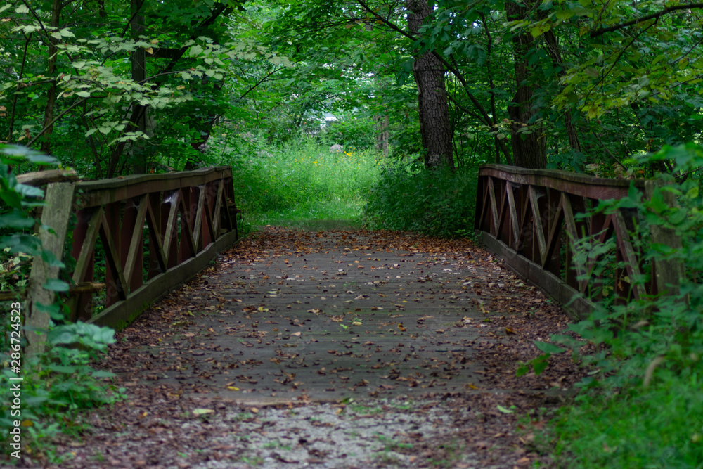 Fototapeta premium Rustic Wooden Bridge in the Forest at the Sagawau Environmental Learning Center