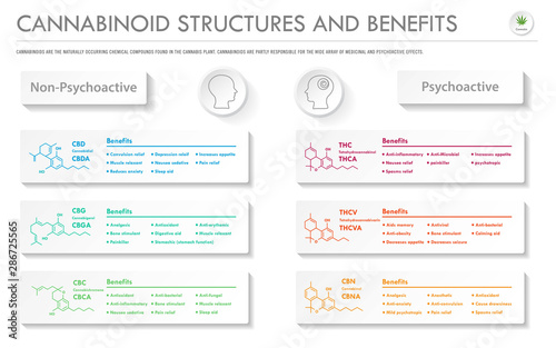 Cannabinoid Structures and Benefits horizontal business infographic illustration about cannabis as herbal alternative medicine and chemical therapy, healthcare and medical science vector.