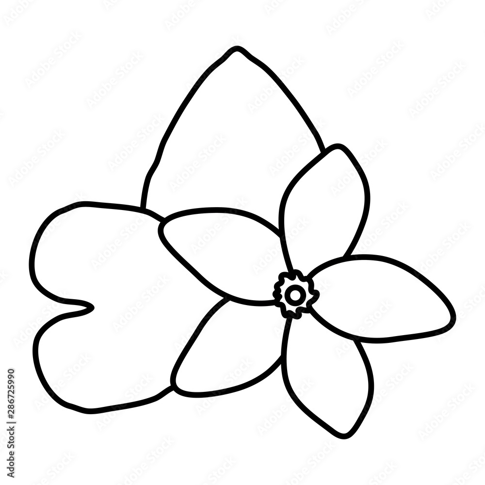 exotic and tropical flower with leafs garden