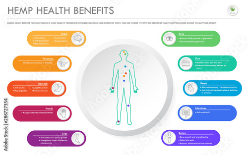 Hemp Health Benefits horizontal business infographic illustration about cannabis as herbal alternative medicine and chemical therapy, healthcare and medical science vector.