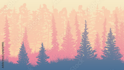 Horizontal illustration of morning rare forest.