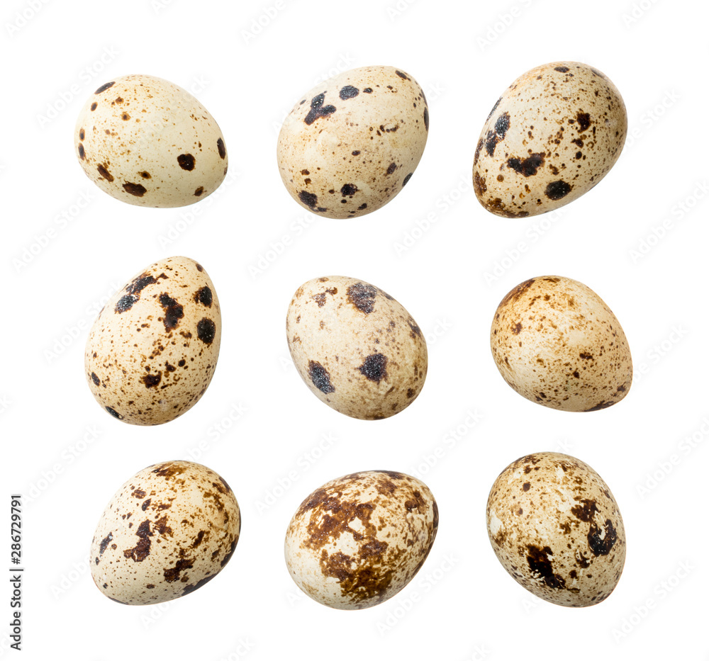 Set of quail eggs isolated on a white.