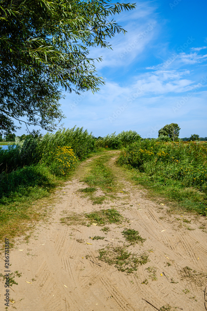 wavy gravel road in green summer forest wavy gravel road in green summer forest
