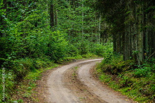 wavy gravel road in green summer forest © Martins Vanags