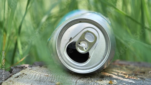 Beer can lies in forest, abuse of environment, environmental pollution photo