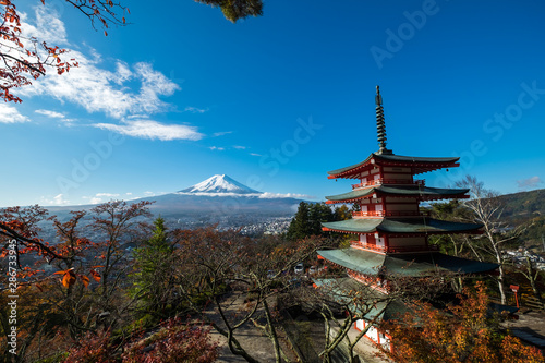 Mt. Fuji with red pagoda in autum  Fujiyoshida  Japan