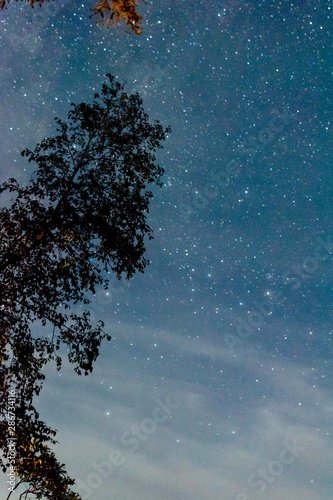 Starry night sky in duck mountain provincial park photo